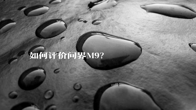 如何评价问界M9？