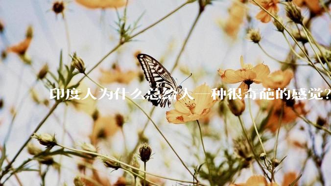 印度人为什么总给人一种很奇葩的感觉？