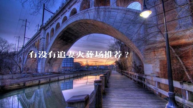 有没有追妻火葬场推荐?