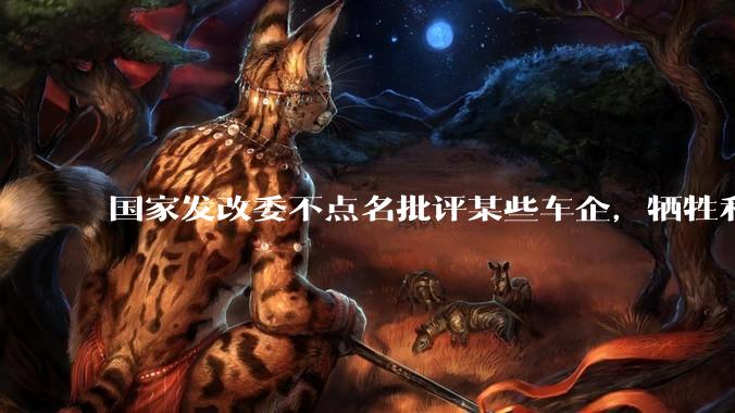 国家发改委不点名批评某些车企，牺牲利润抢占市场，虚***宣传，恶意抹黑，释放什么信号？