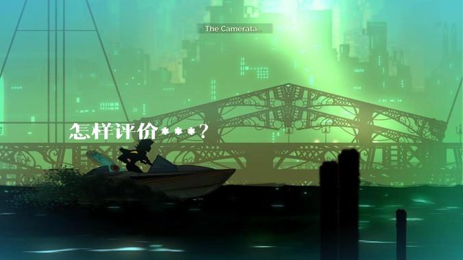怎样评价***？
